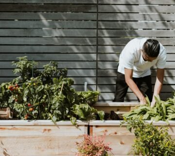 Stappenplan voor het vernieuwen van je tuin