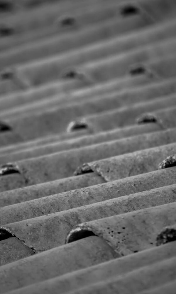 Waarom steeds meer bedrijven containers vervangen voor bigbags